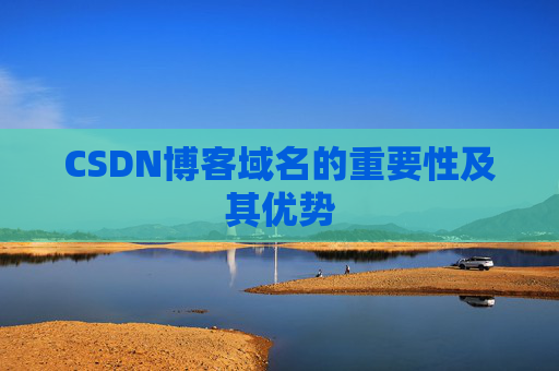 CSDN博客域名的重要性及其优势